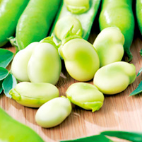 broad-beans