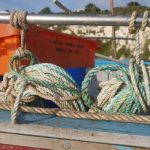 Why we should support small fishing boats over super-trawlers