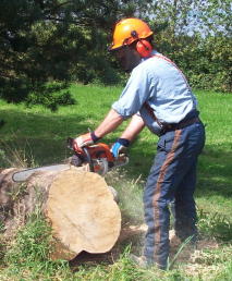 chainsaws4