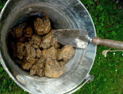 Example of clay collected in Sussex