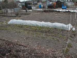 cloche-march