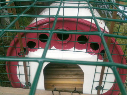How To Make A Chicken Coop From A Repurposed Plastic Barrellow