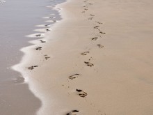 Eco & carbon footprints
