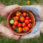 How to start a community garden Part 3
