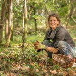 Emily Fawcett explores the benefits of harvesting wild foods