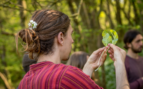 Examining a foraged plant