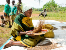 Fair trade
