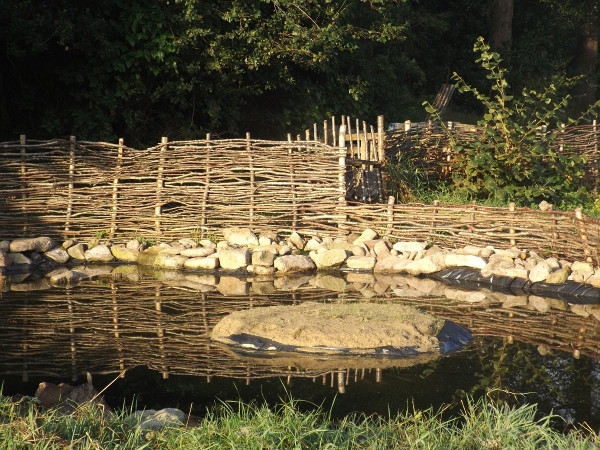 Keeping The Chickens Out Of The Garden With A Woven Birch Fence