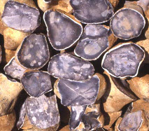 flint 1