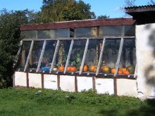 Greenhouses & polytunnels