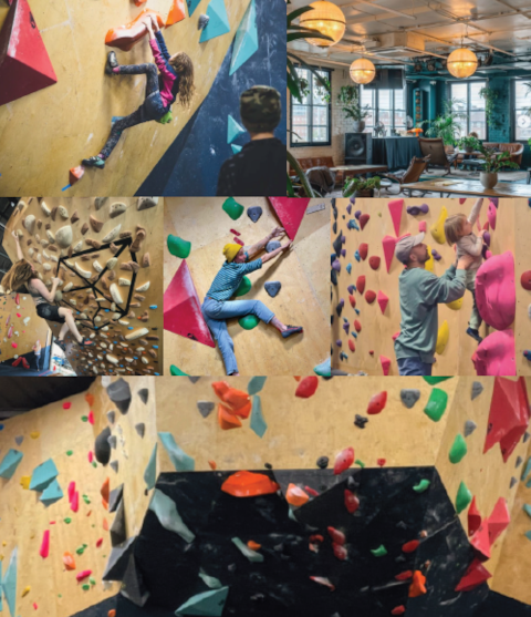 Commons climbing gym