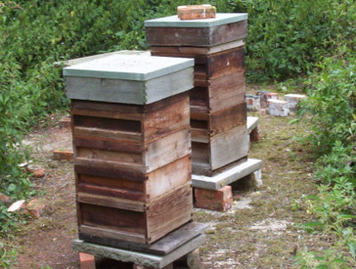 conventional beekeeping hives hives