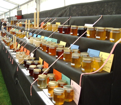 honey from beekeeping honey show