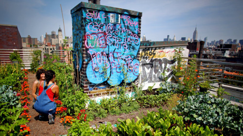 housingcoops8