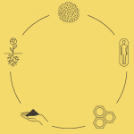 Human composting diagram