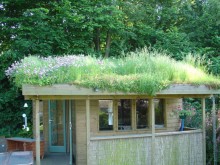 Living roofs