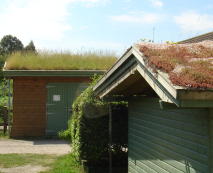 livingroofs1