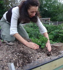livingroofs2