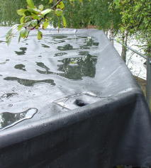 livingroofs3