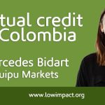 Mercedes Bidart of Quipu Markets: mutual credit in Colombia