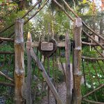 Love in action at the Findhorn intentional community