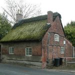 moss_growing_on_thatched_cottage_roof