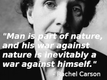 The nature problem