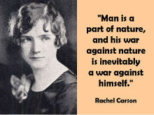 The nature problem