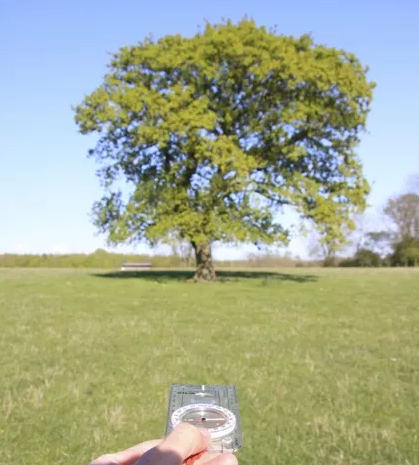 navigation-tree