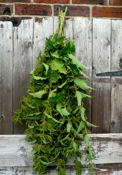 August forage of the month