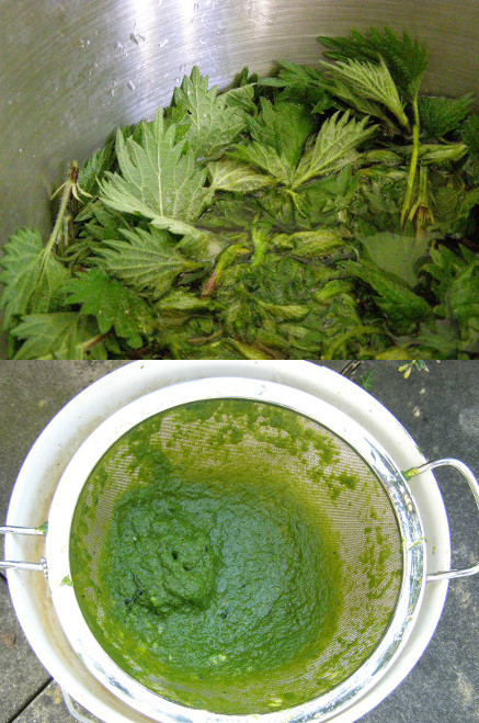 papermaking1-nettles