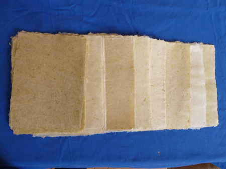 papermaking3-daffodils