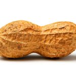 peanut
