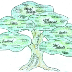 The Pentiddy Woods internship depicted in illustrated form as a living tree