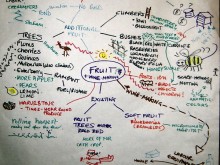 Permaculture