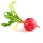 From radish to radical...