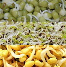 Sprouts (not the brussels!) are an example of raw / living food