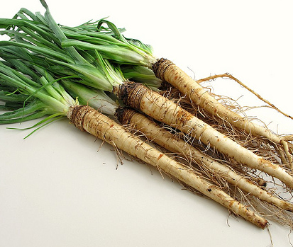 salsify