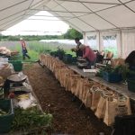 VegBox Logistics Coordinator at Sutton Community Farm