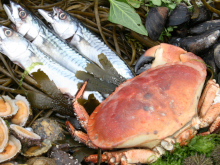Seafood
