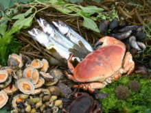 Seafood
