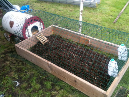How to make a chicken coop from a repurposed plastic 
