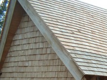 Roof shingles