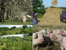 Smallholding