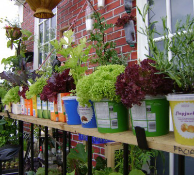 Small-space gardening looking pretty with recycled pots urban7