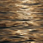 What to do with our waste water?
