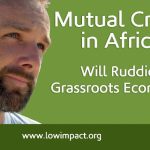 Mutual Credit in Africa