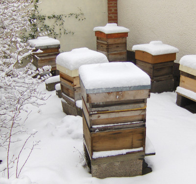 beekeeping hives in winter winter