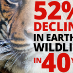 WWF report on wildlife